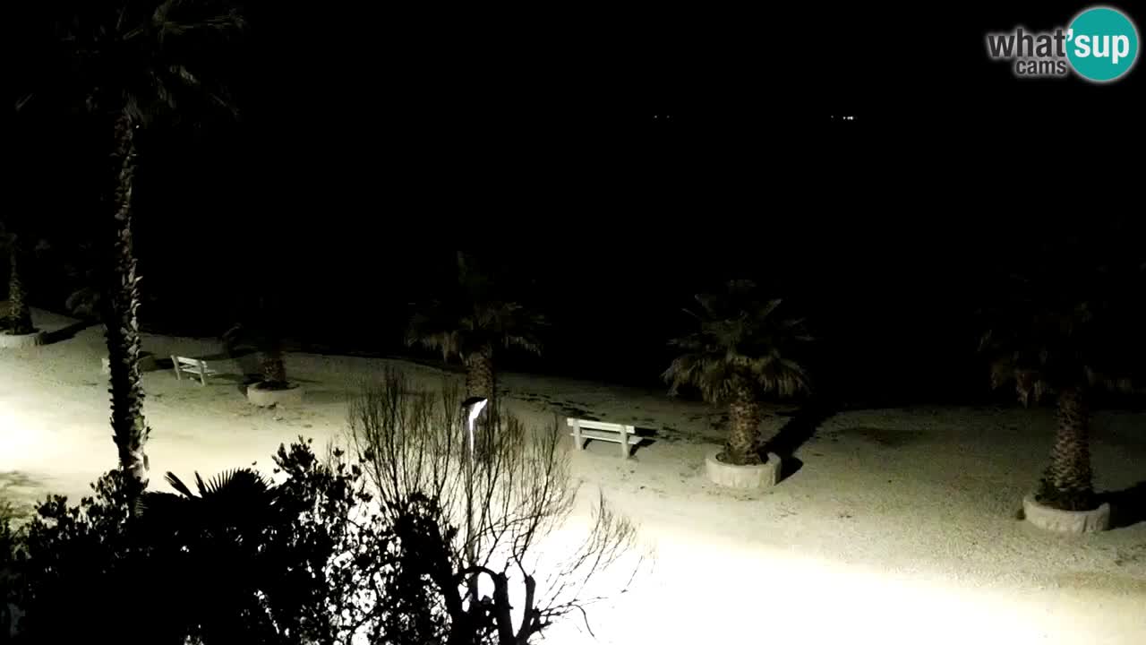 Live cam Vir – Plage