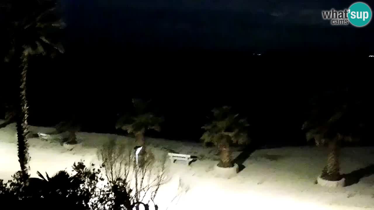 Kamera v živo Vir – Plaža