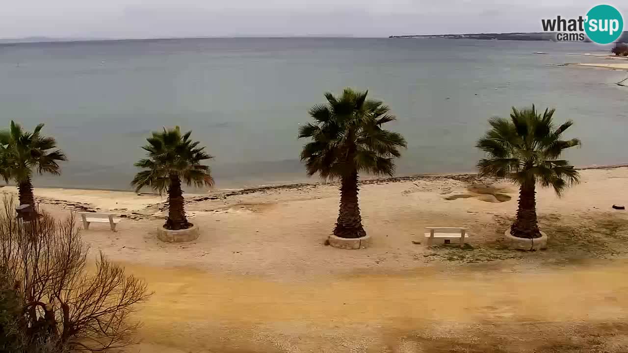 Live cam Vir – Plage