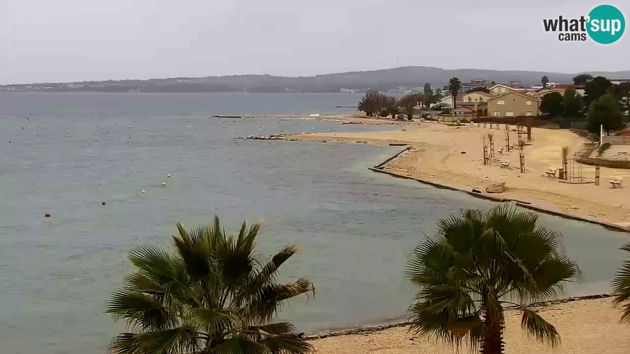 Live cam Vir – Plage