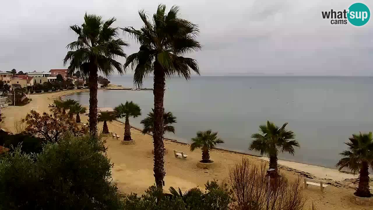 Live cam Vir – Plage