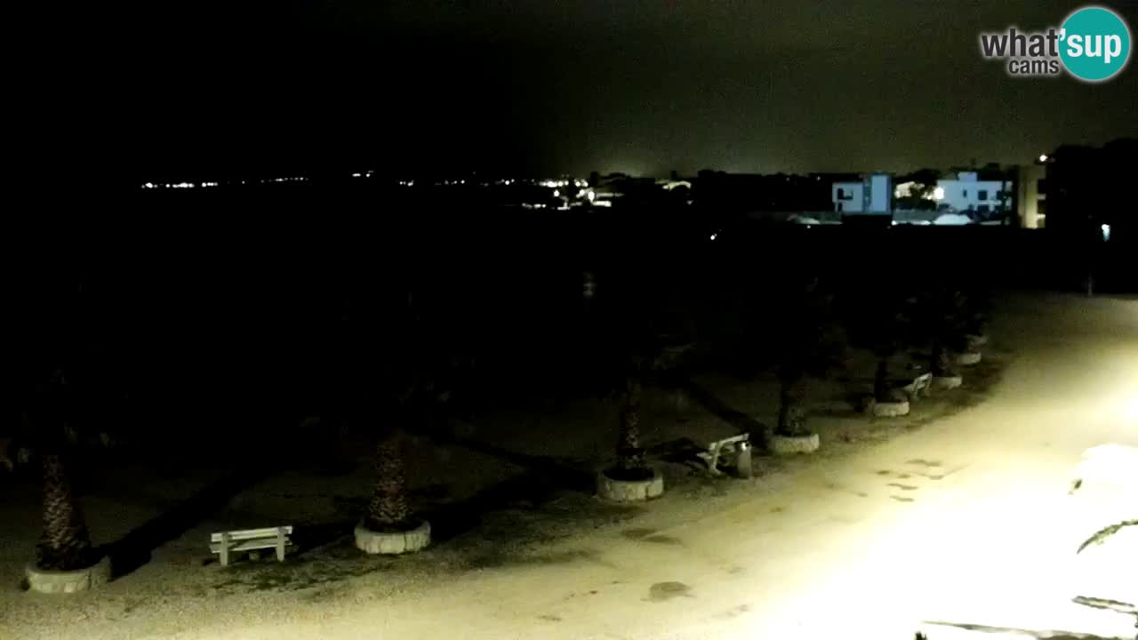 Live cam Vir – Plage