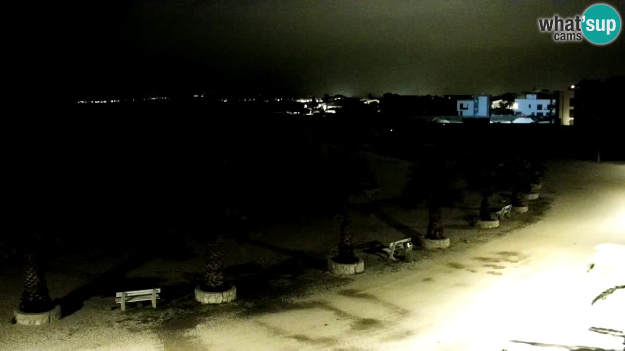 Live cam Vir – Plage