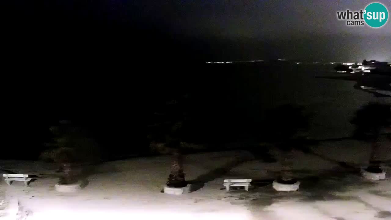 Live cam Vir – Plage