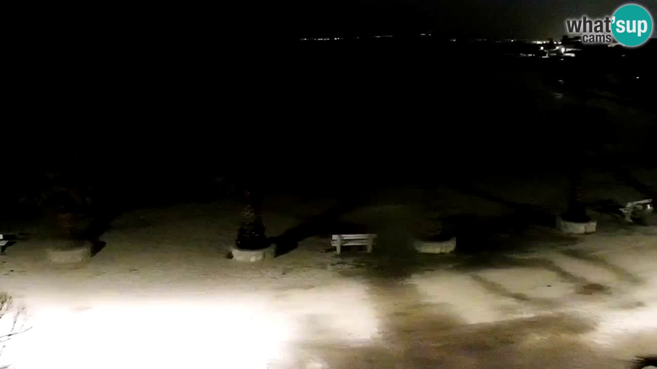 Live cam Vir – Plage