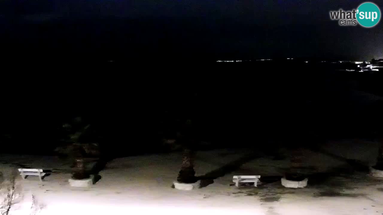 Live cam Vir – Plage