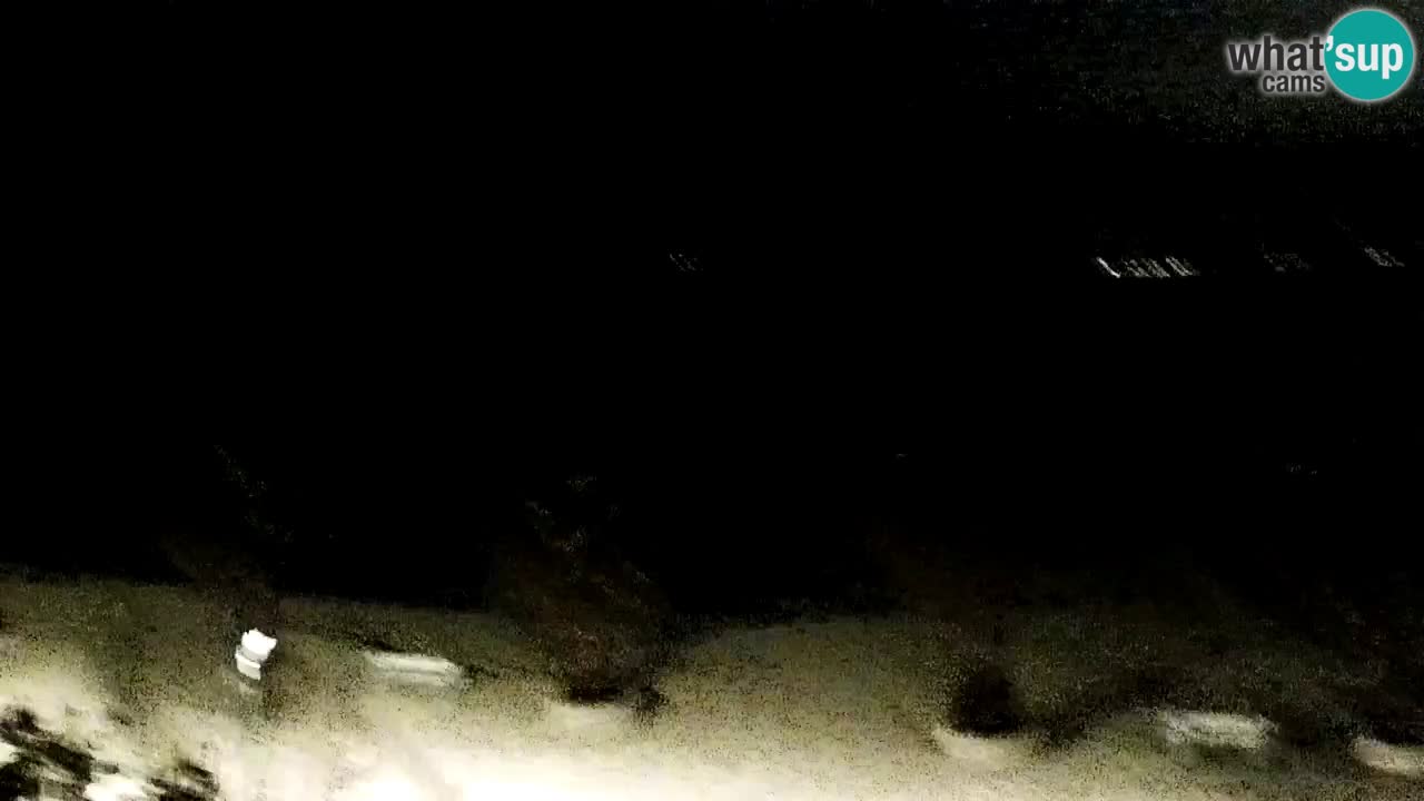 Webcam Vir – Spiaggia