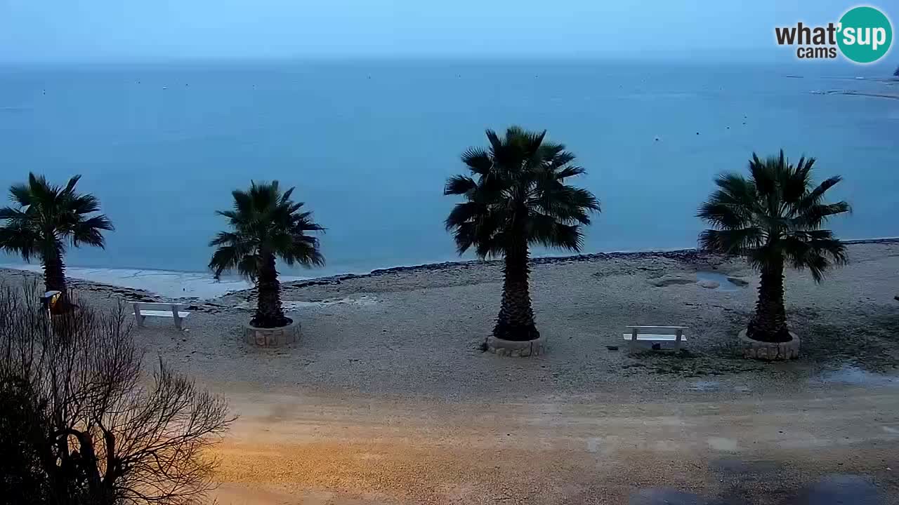 Live cam Vir – Plage