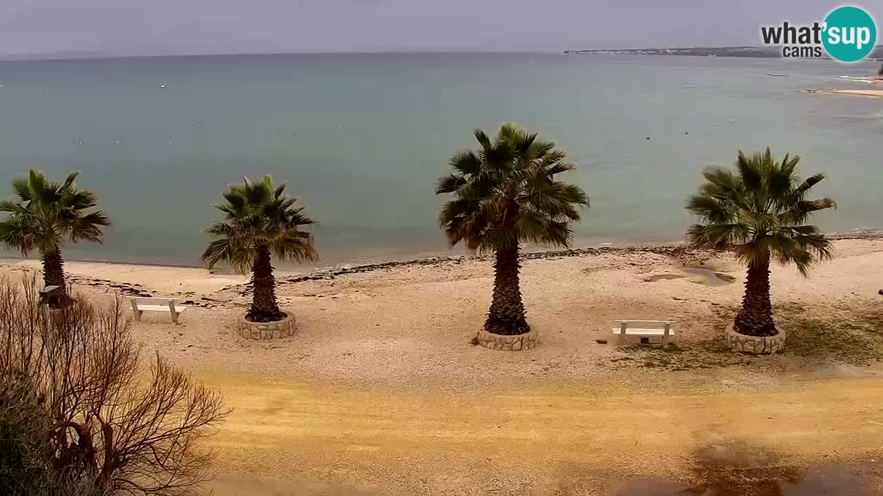 Webcam Vir – Spiaggia