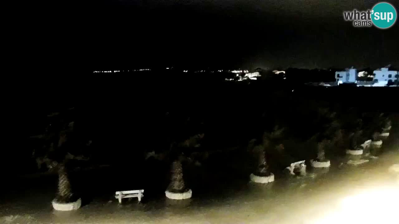 Live cam Vir – Plage