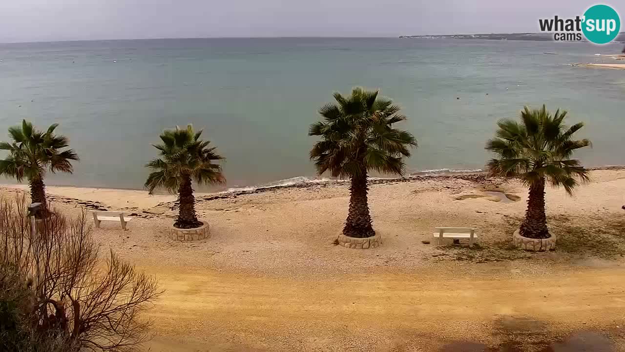 Webcam Vir – Strand