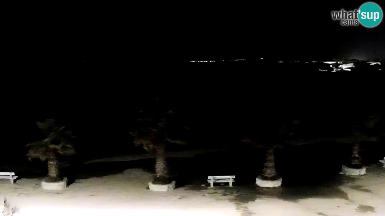 Live cam Vir – Plage