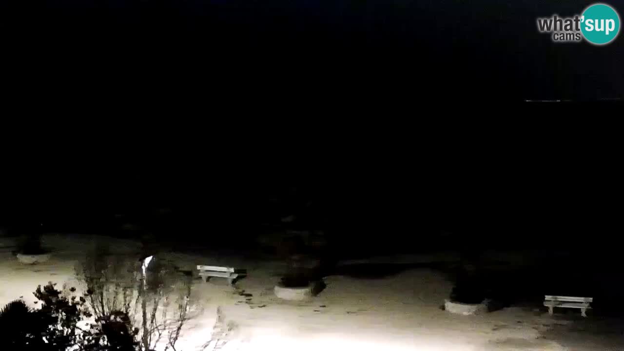 Live cam Vir – Plage