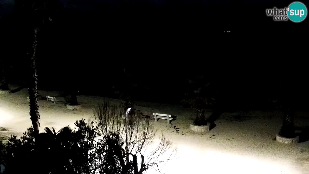 Kamera v živo Vir – Plaža