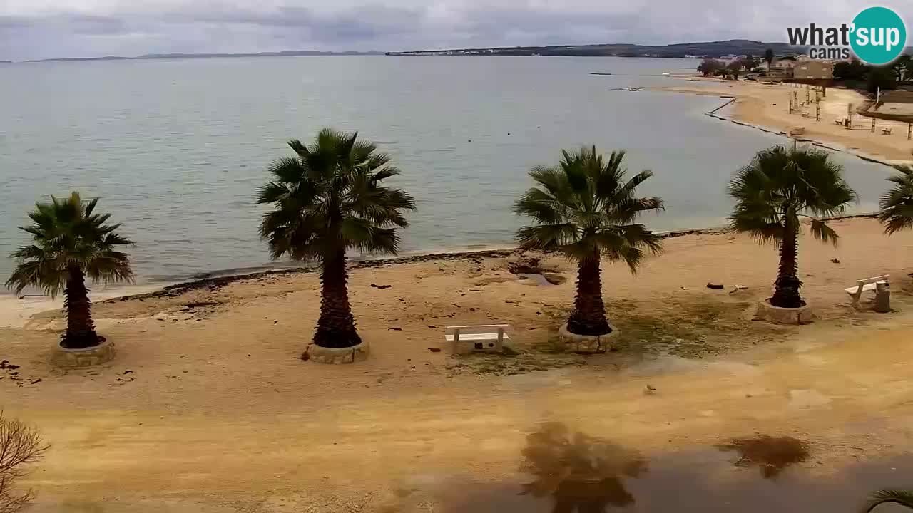 Kamera v živo Vir – Plaža