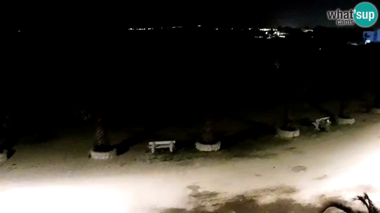 Live cam Vir – Plage