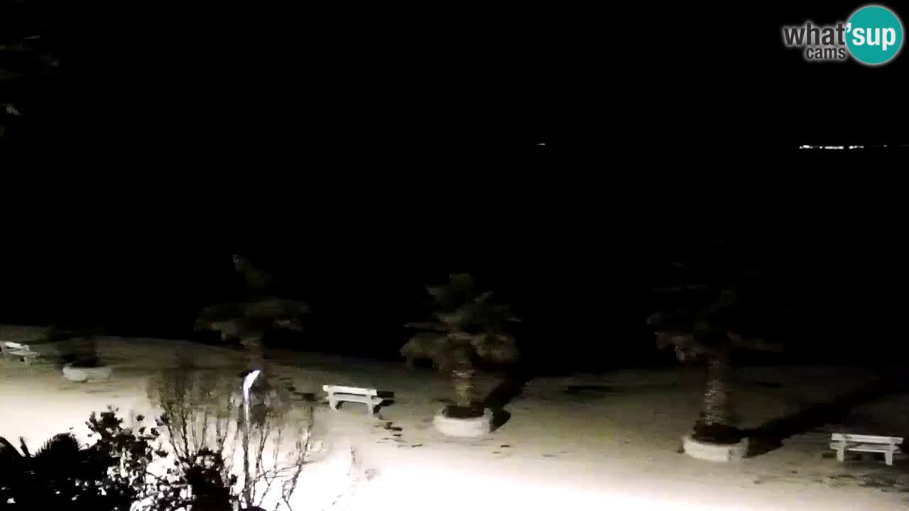 Live cam Vir – Plage