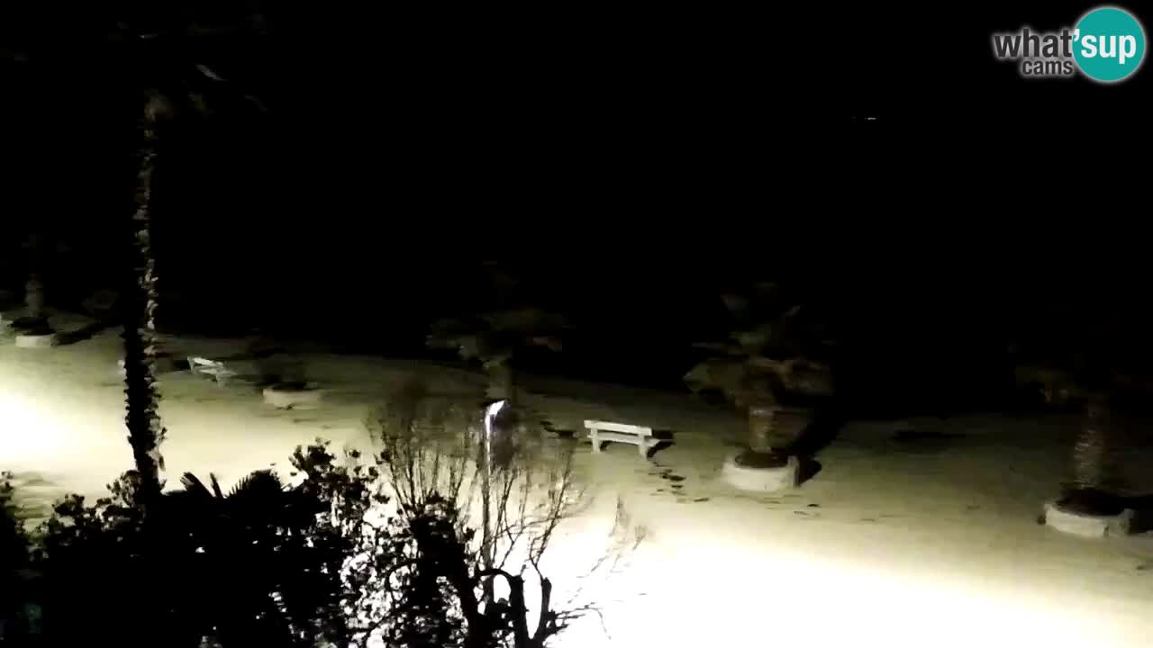 Kamera v živo Vir – Plaža