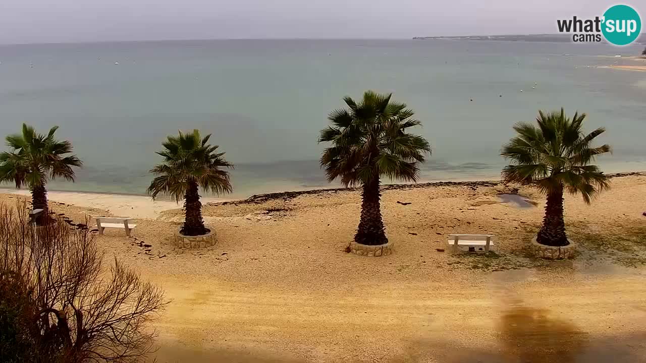 Live cam Vir – Plage