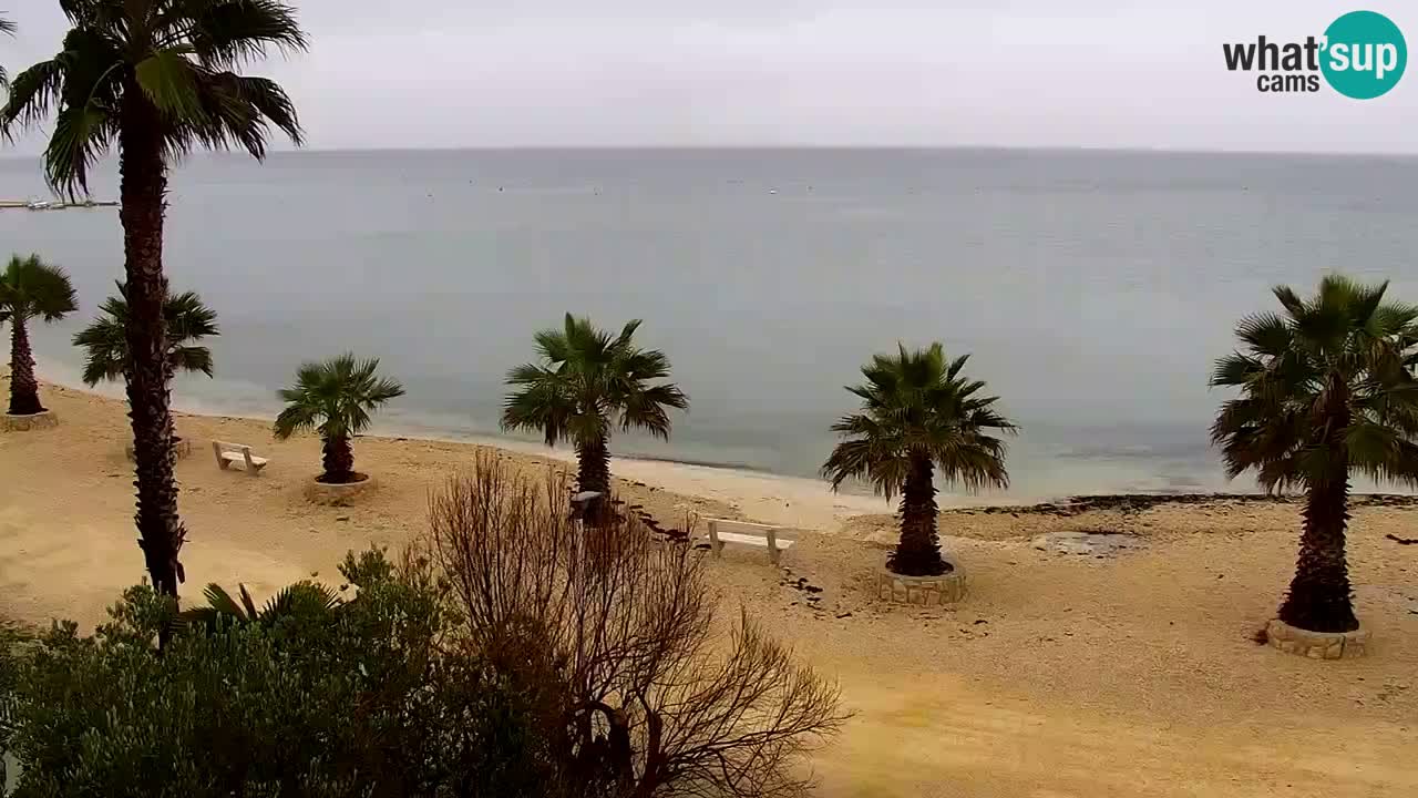 Webcam Vir – Spiaggia