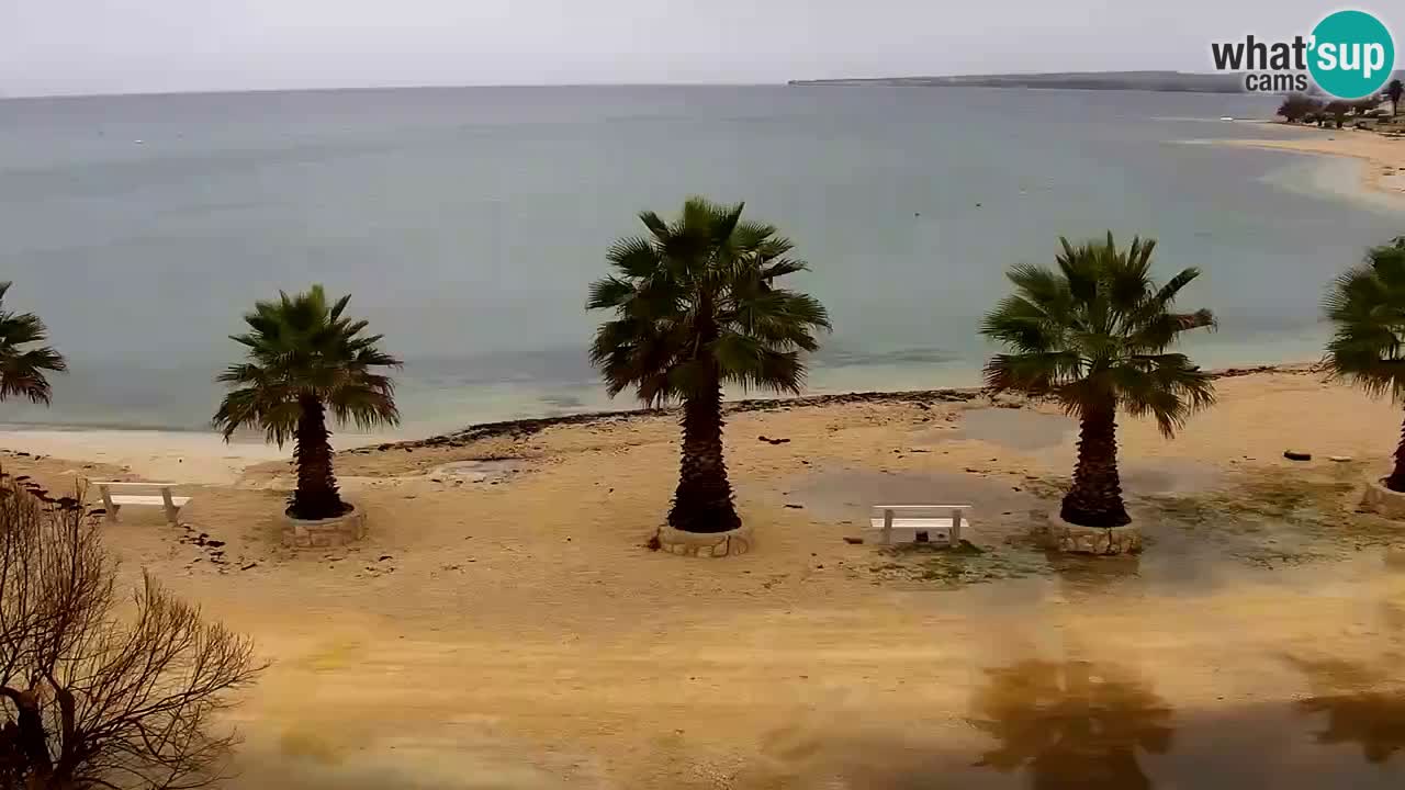 Webcam Vir – Strand