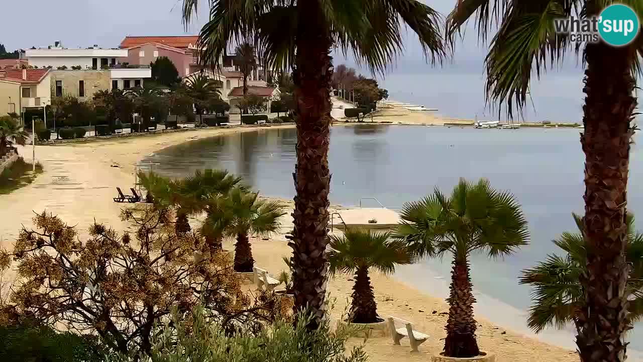 Live cam Vir – Plage