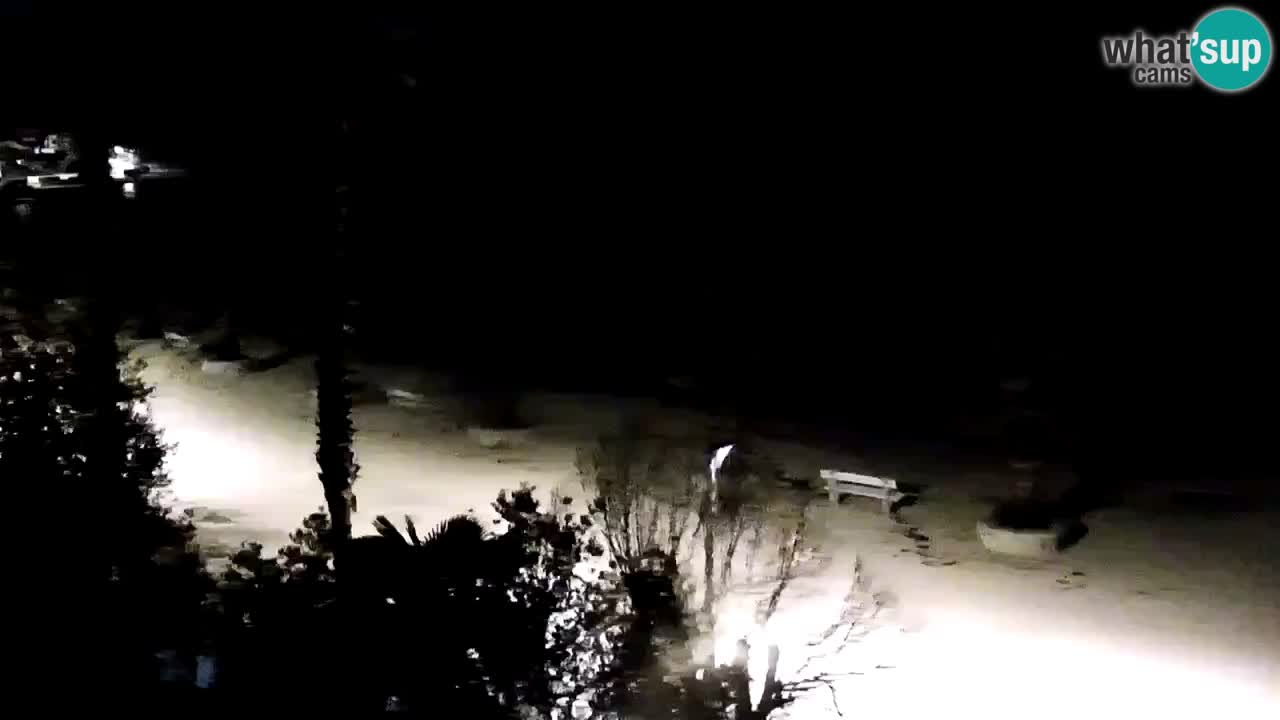 Live cam Vir – Plage