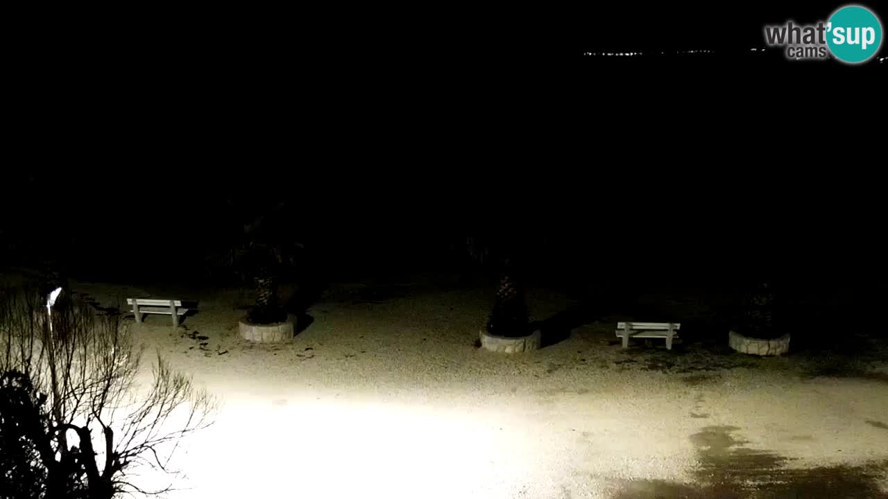 Live cam Vir – Plage