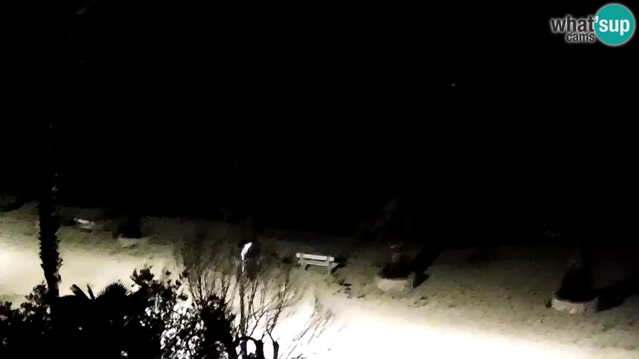 Camera en vivo Vir – Playa