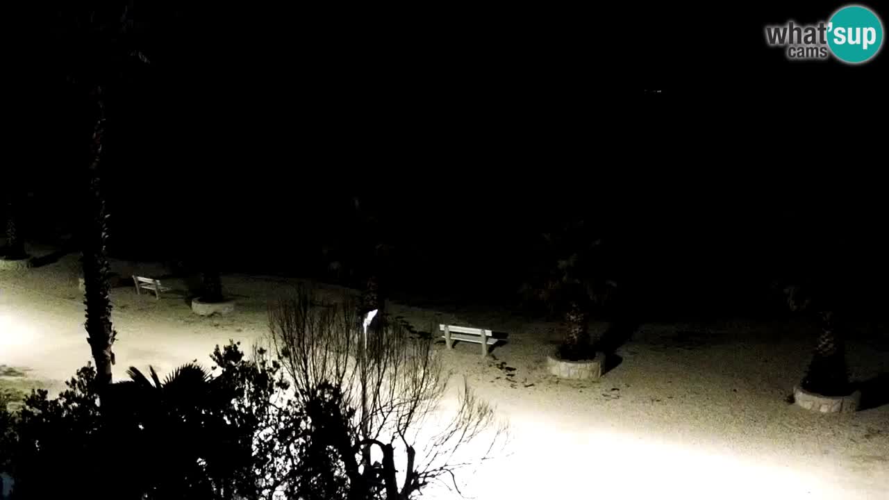 Webcam Vir – Strand