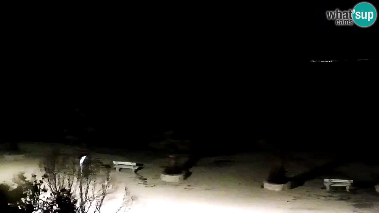 Live cam Vir – Plage