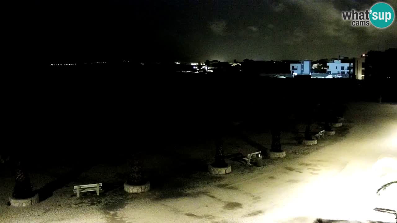 Live cam Vir – Plage