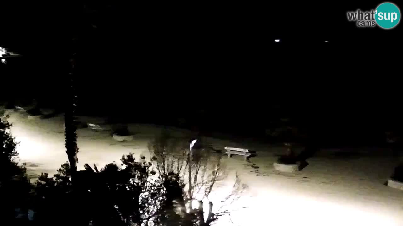 Webcam Vir – Spiaggia