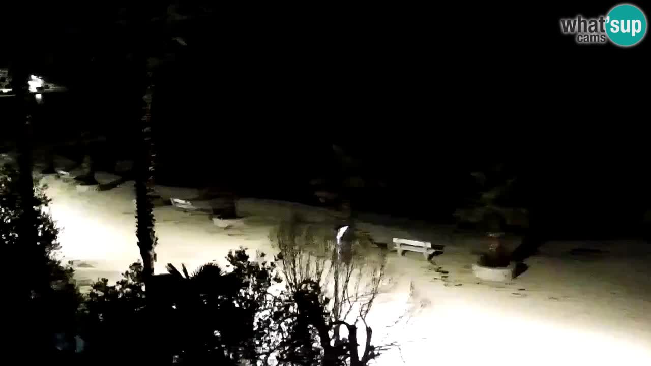 Live cam Vir – Plage