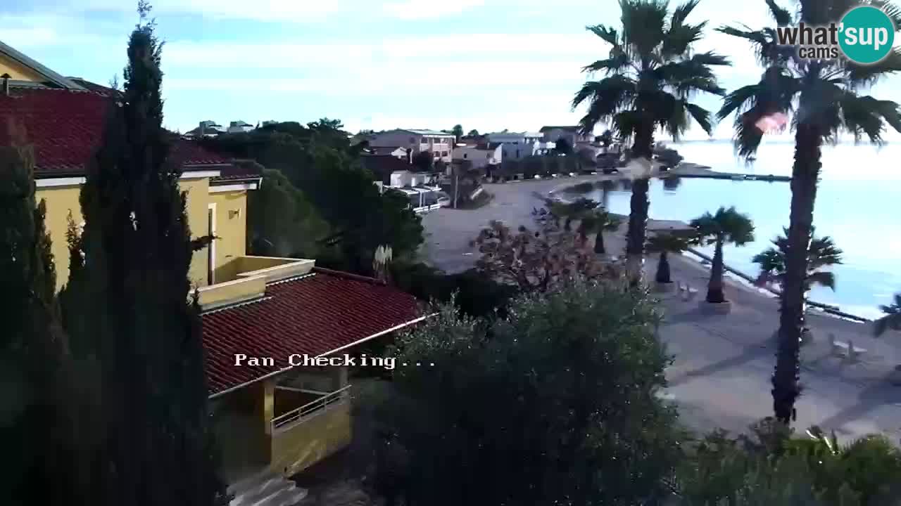 Live cam Vir – Plage