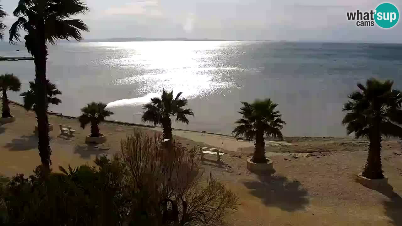 Live cam Vir – Plage