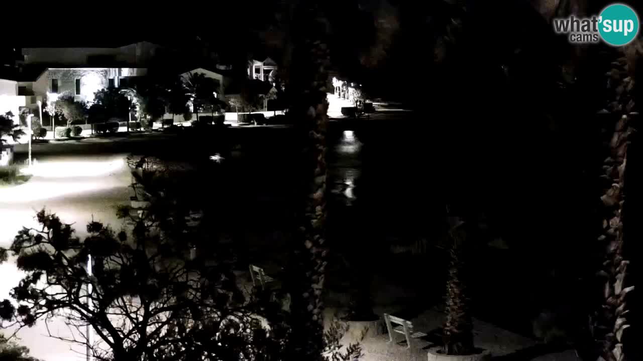 Live cam Vir – Plage