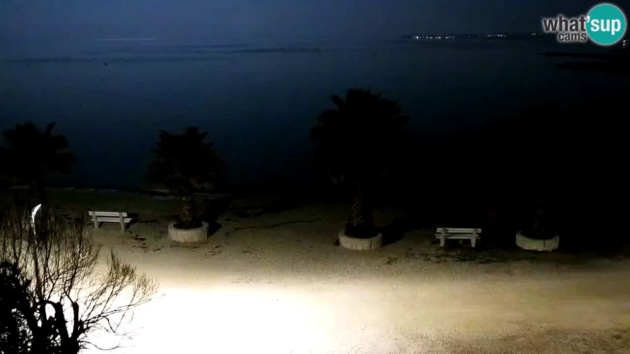 Live cam Vir – Plage