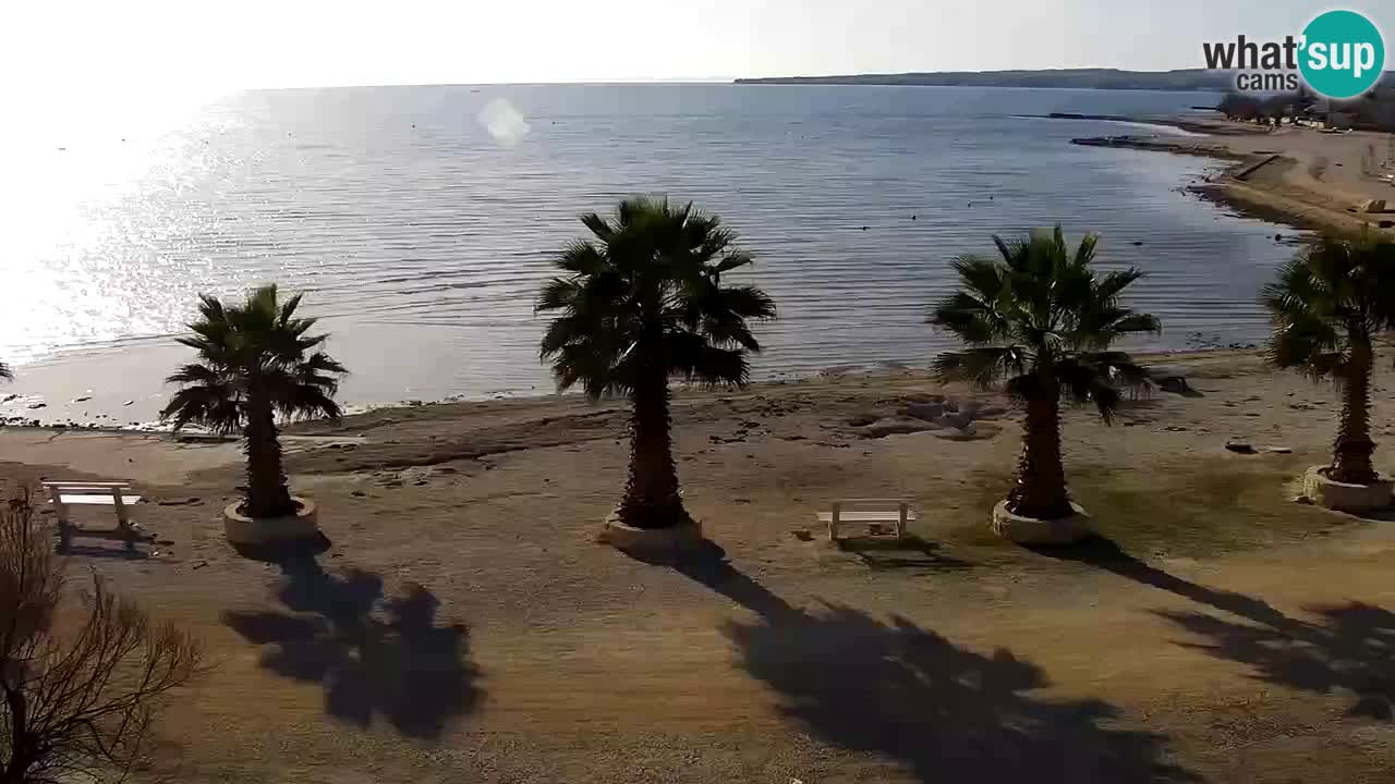 Live cam Vir – Plage