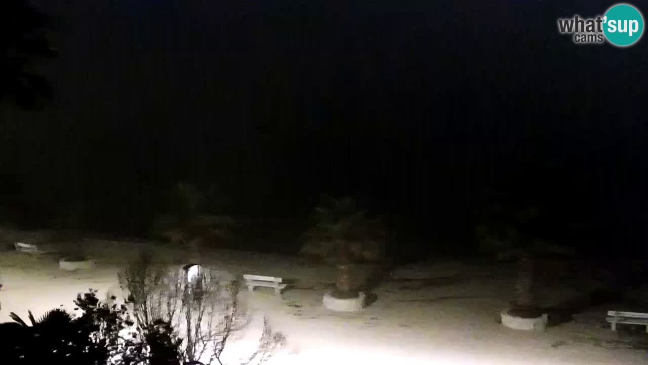 Kamera v živo Vir – Plaža