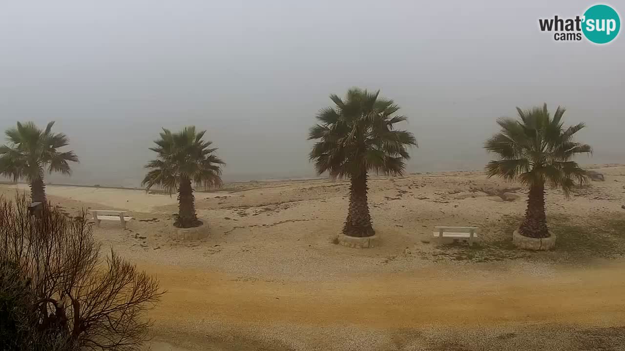 Web kamera Vir – Plaža