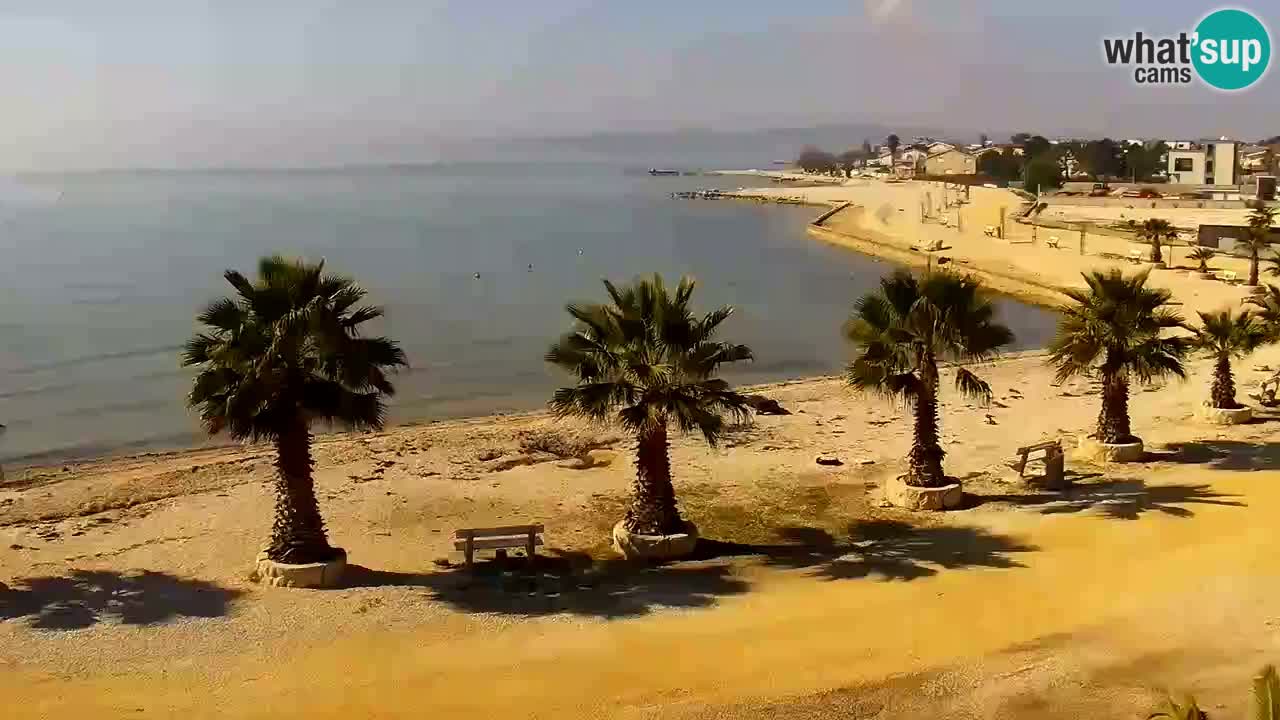 Live cam Vir – Plage