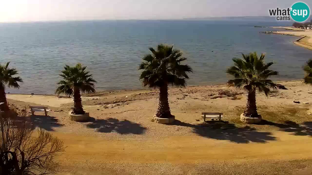 Live cam Vir – Plage