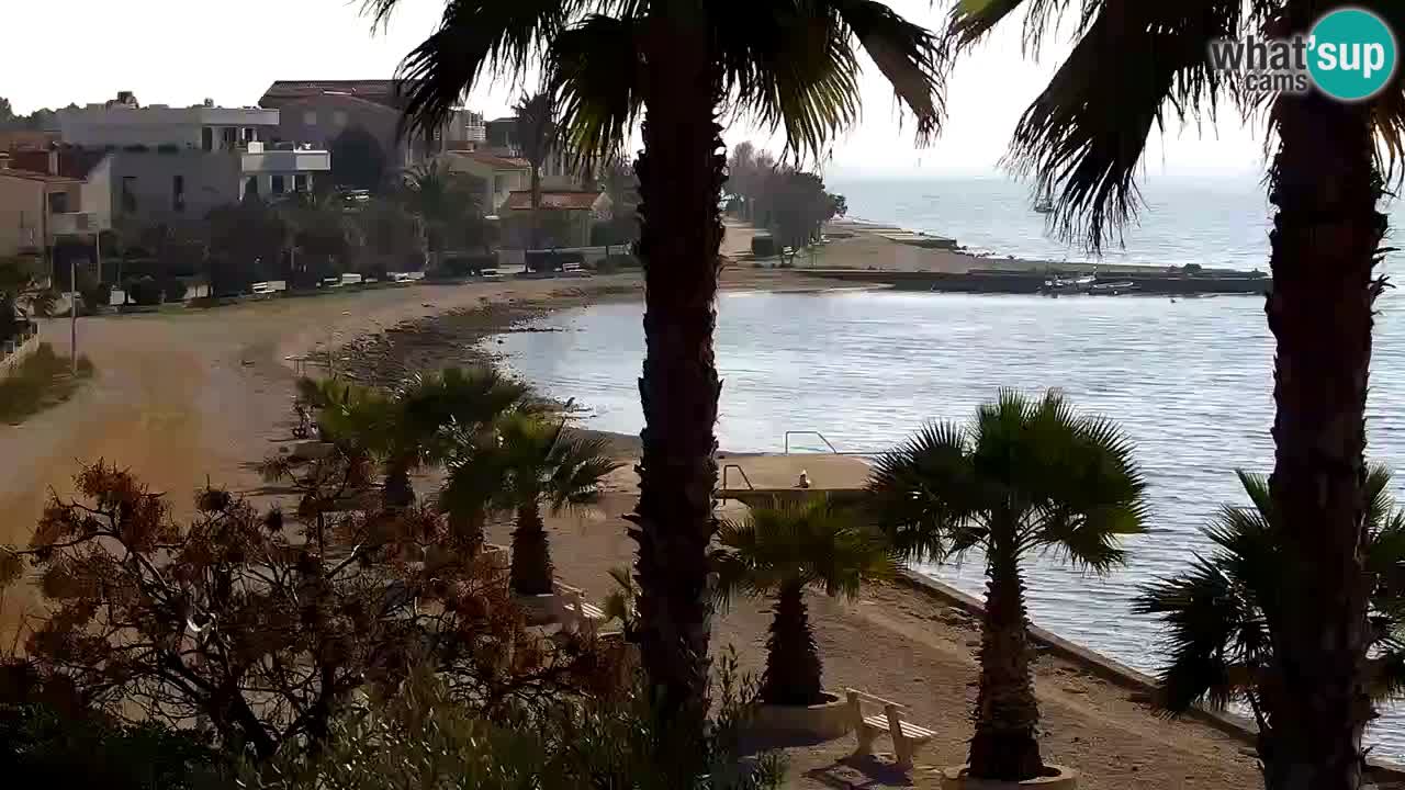 Live cam Vir – Plage