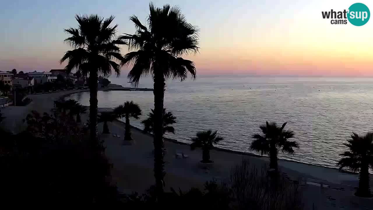 Live cam Vir – Plage