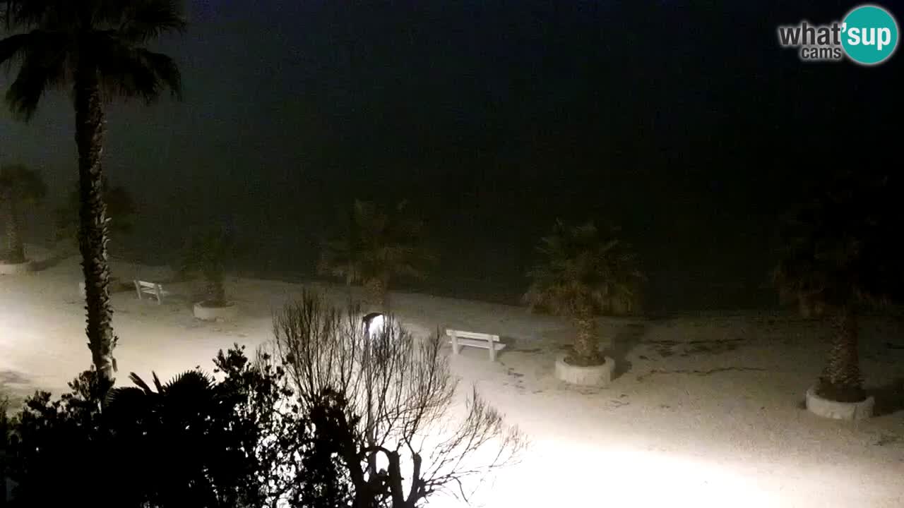 Webcam Vir – Strand