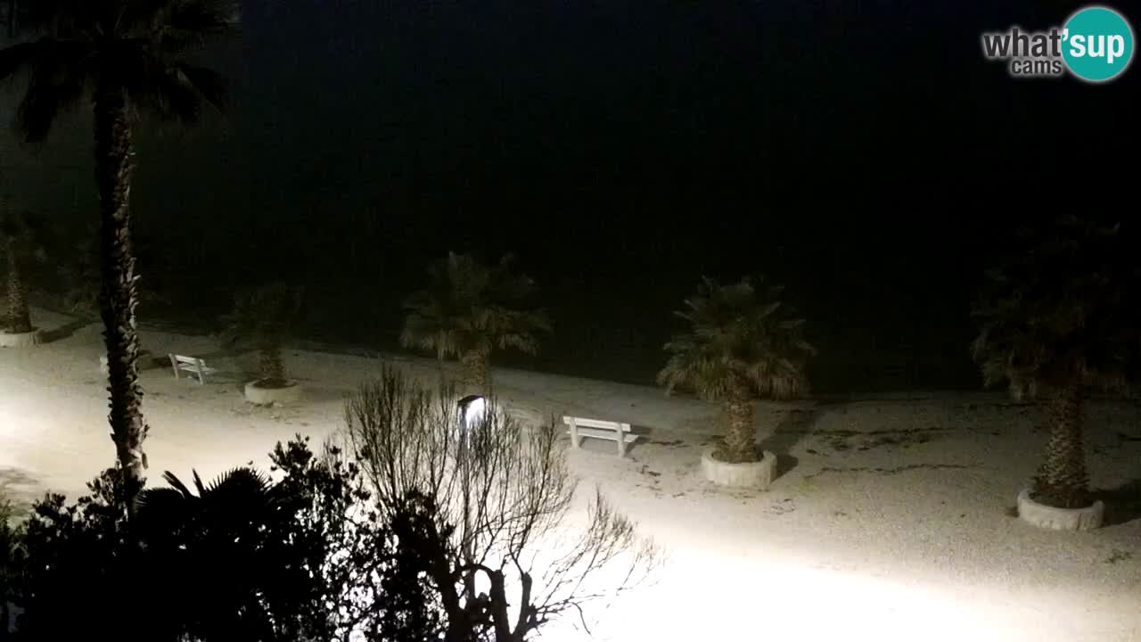 Live cam Vir – Plage