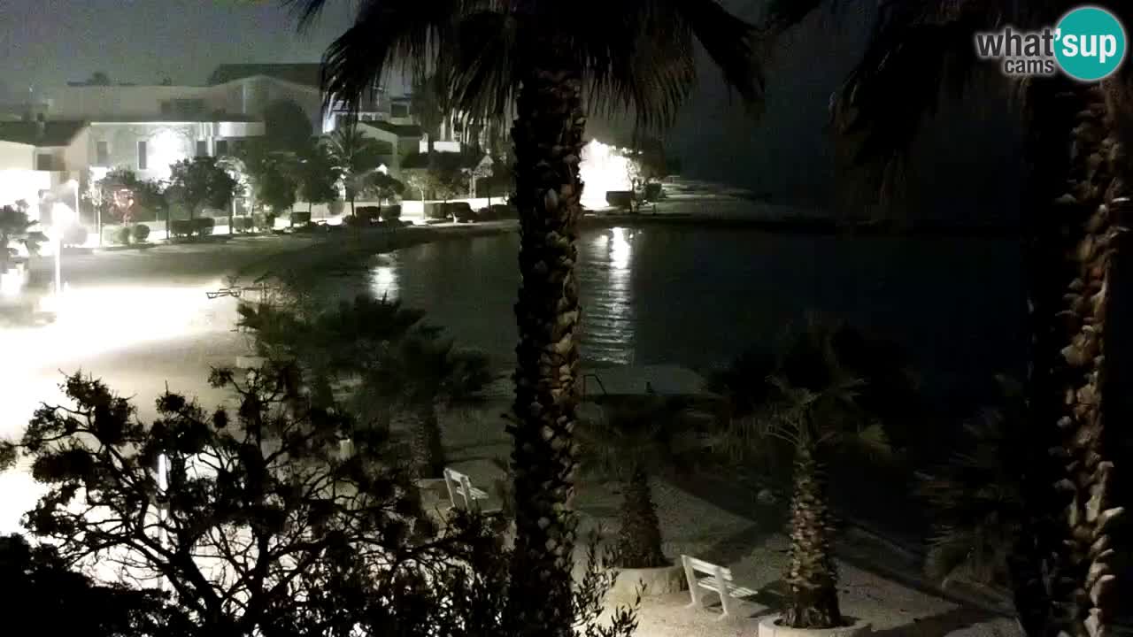 Live cam Vir – Plage