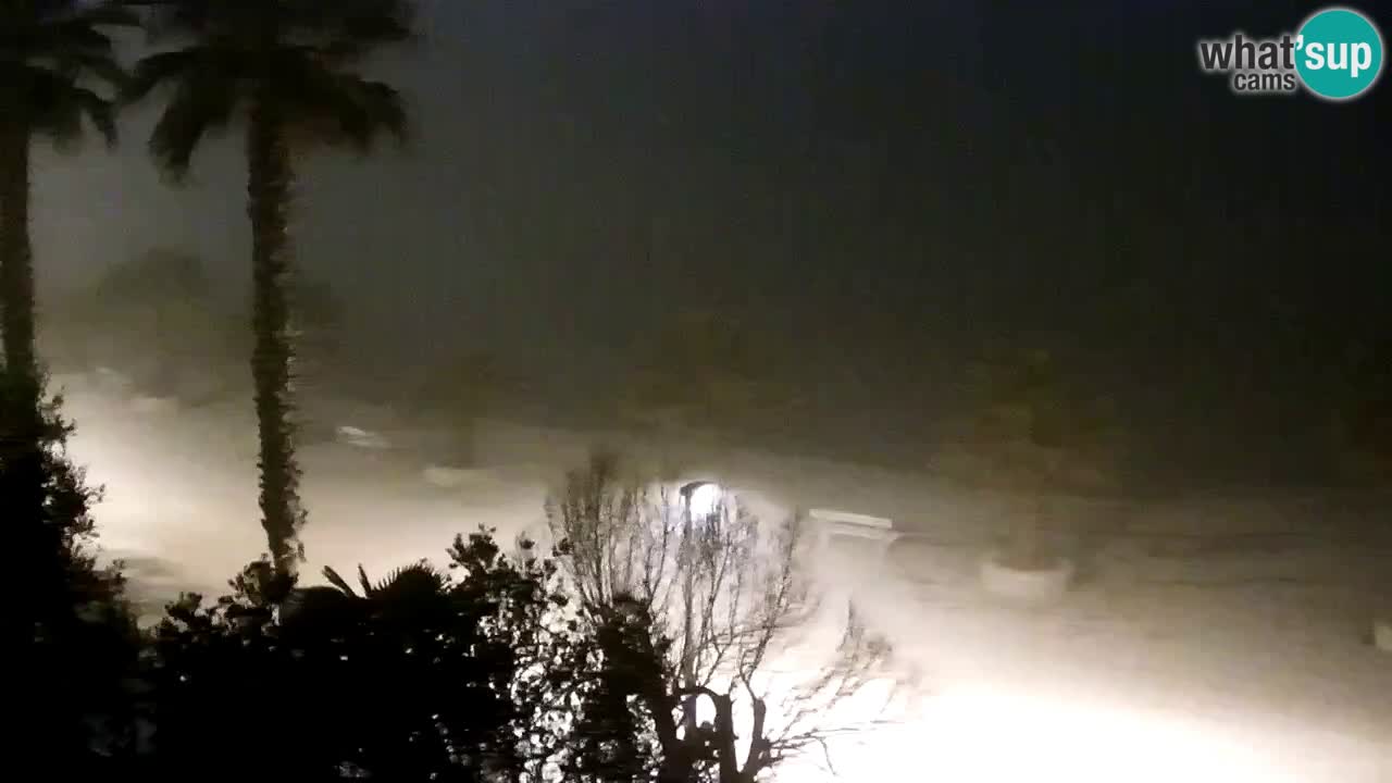 Live cam Vir – Plage