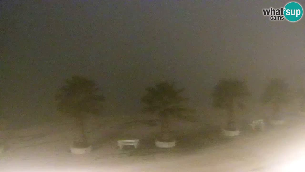 Webcam Vir – Strand